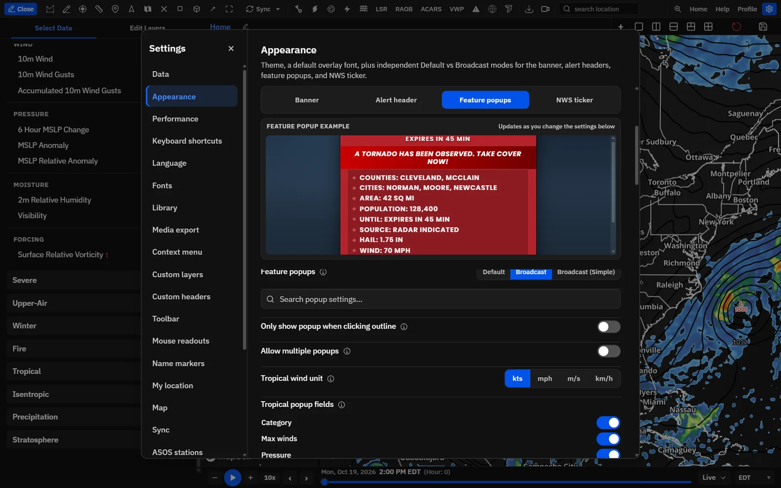 The Feature popups tab: popup style, outline-only clicks and multiple popups.